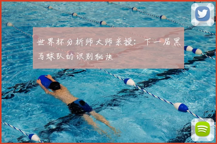 世界杯分析师大师亲授：下一届黑马球队的识别秘诀