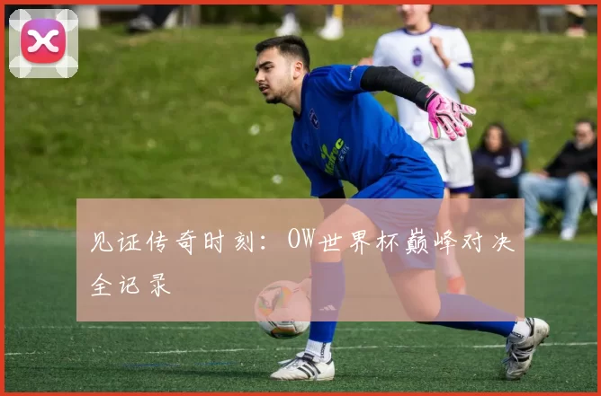 见证传奇时刻:OW世界杯巅峰对决全记录