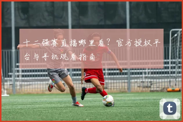 十二强赛直播哪里看？官方授权平台与手机观看指南