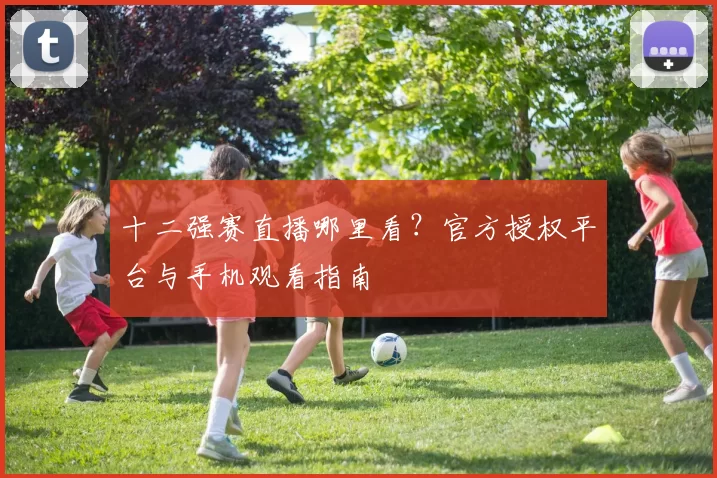 十二强赛直播哪里看?官方授权平台与手机观看指南