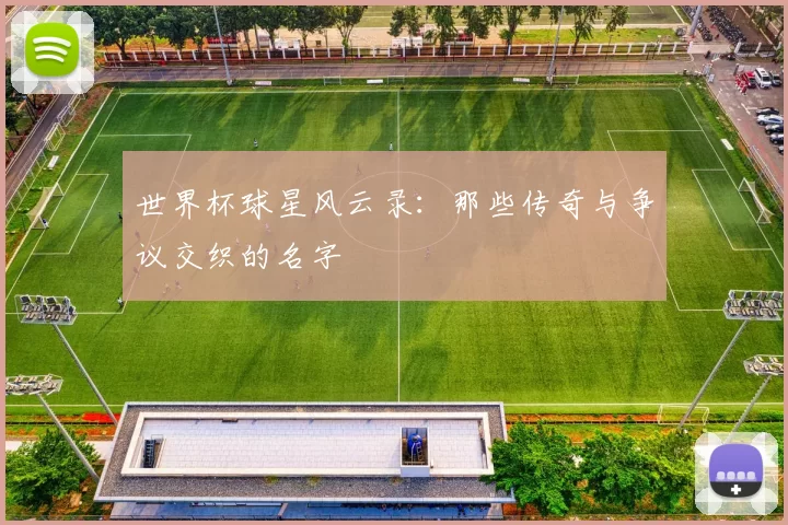 世界杯球星风云录：那些传奇与争议交织的名字