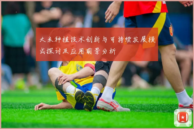 大米种植技术创新与可持续发展模式探讨及应用前景分析