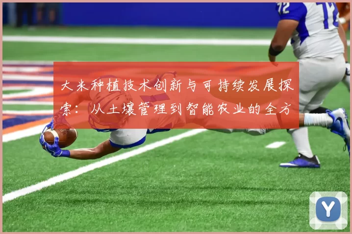 大米种植技术创新与可持续发展探索：从土壤管理到智能农业的全方位实践