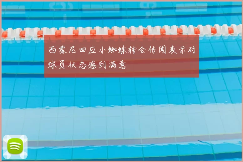 西蒙尼回应小蜘蛛转会传闻表示对球员状态感到满意