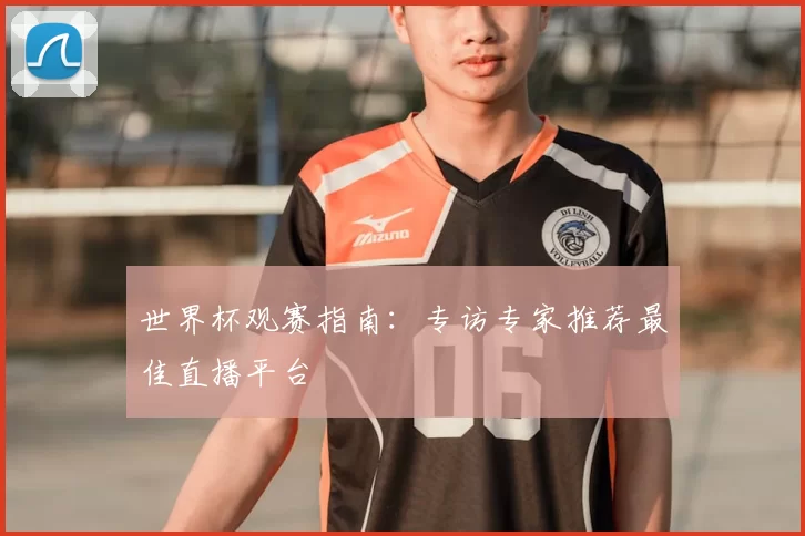 世界杯观赛指南:专访专家推荐最佳直播平台