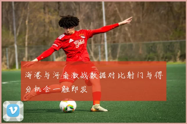 海港与河南激战数据对比射门与得分机会一触即发