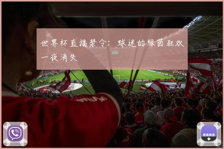 世界杯直播禁令：球迷的绿茵狂欢一夜消失