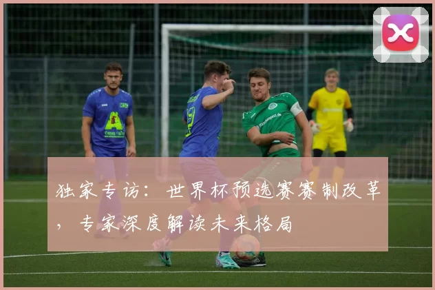 独家专访:世界杯预选赛赛制改革,专家深度解读未来格局