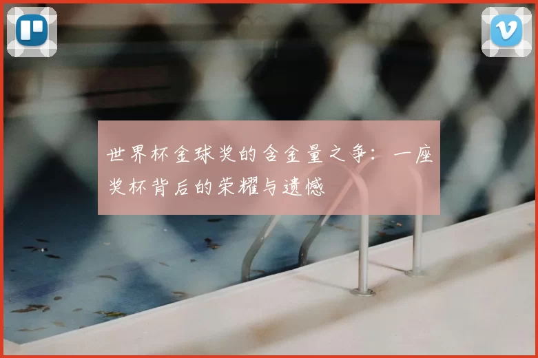 世界杯金球奖的含金量之争:一座奖杯背后的荣耀与遗憾