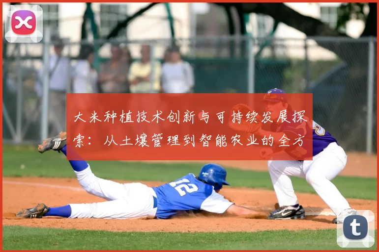 大米种植技术创新与可持续发展探索：从土壤管理到智能农业的全方位实践