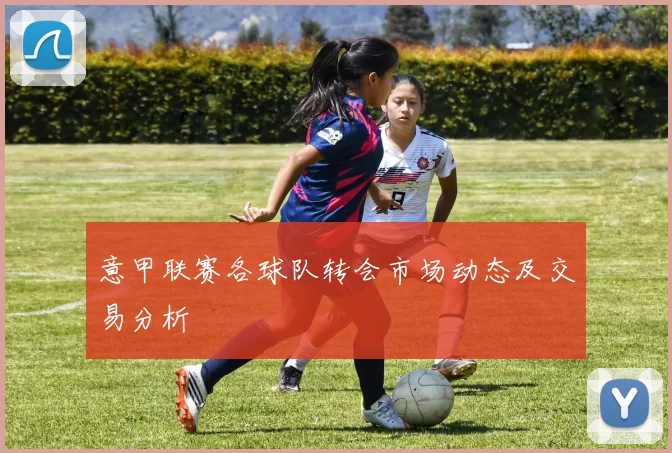 意甲联赛各球队转会市场动态及交易分析