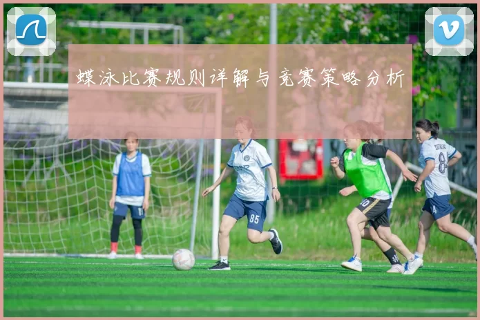 蝶泳比赛规则详解与竞赛策略分析