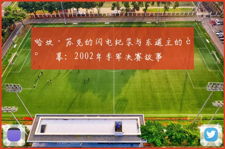 哈坎·苏克的闪电纪录与东道主的谢幕：2002年季军决赛故事