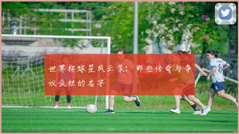 世界杯球星风云录：那些传奇与争议交织的名字