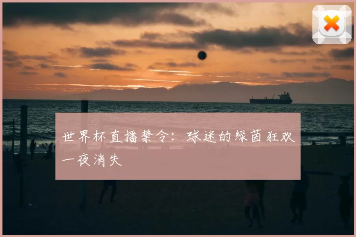 世界杯直播禁令：球迷的绿茵狂欢一夜消失